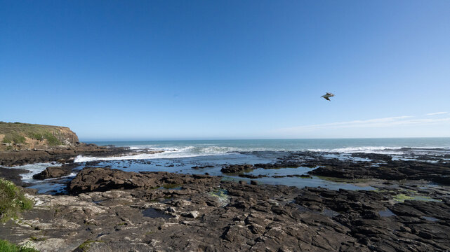 Rocky Coastline Near Point Addis, Australia