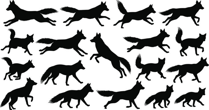 Fox animal silhouette collection set, running jumping and standing wild fox poses, wildlife vector illustration pack