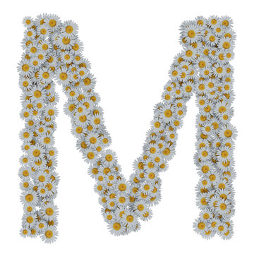 letter M made of white daisy flowers, arial font, isolated on transparent background - design element cut-out graphics object