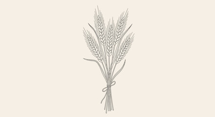 Fototapeta premium A bundle of wheat tied together.