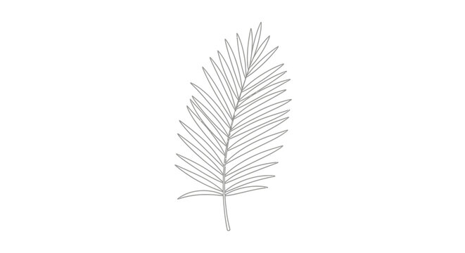 Detailed illustration of a single feather.