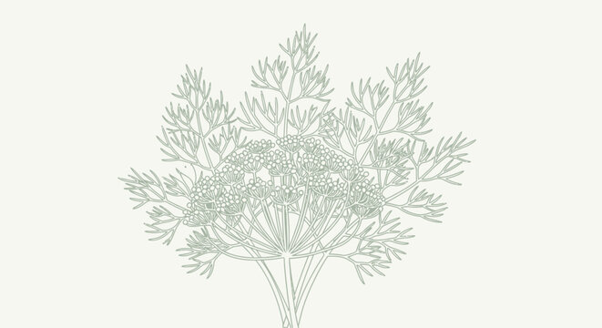 Detailed illustration of seaweed underwater.