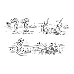 Obraz premium AI Generated Minimal Line Art Collection of Traditional Rice Farming Activities in Rural Village