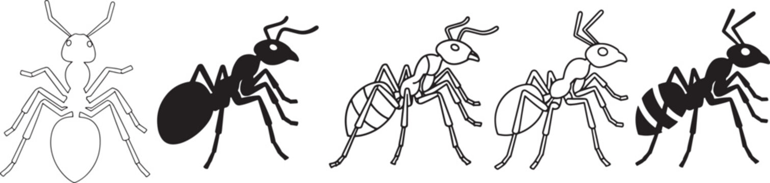 Illustrations of different types of ants and an insect resembling a winged ant