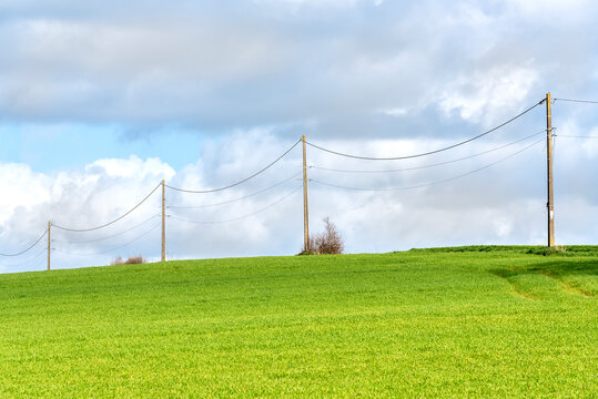 Ligne &eacute;lectrique au milieu d'un champ agricole