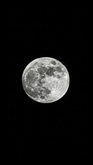 Naklejka premium moon