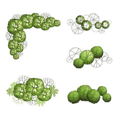 Landscape architecture illustration showing top-down clusters of trees and shrubs with mixed realistic and wireframe styles for site planning. © Riki