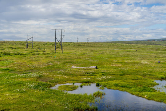 Chukotka tundra landscape with green fields and Arctic nature in Russian remote region in Northern Russia.
