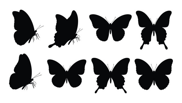Collection of black butterfly silhouettes on white background