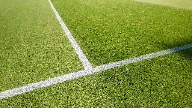 Soccer, football field grass. Close up of the line and grass on a soccer pitch.