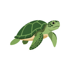 Fototapeta premium Green Sea Turtle Vector Cartoon