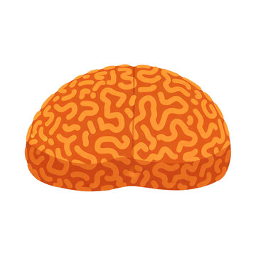 Stylized Orange Brain Coral Icon