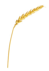 Obraz premium Close up of wheat ear isolated on transparent background