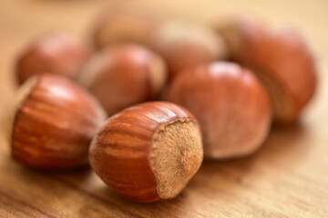 Obraz premium Hazelnuts. Large selective focus. Hazelnut. 