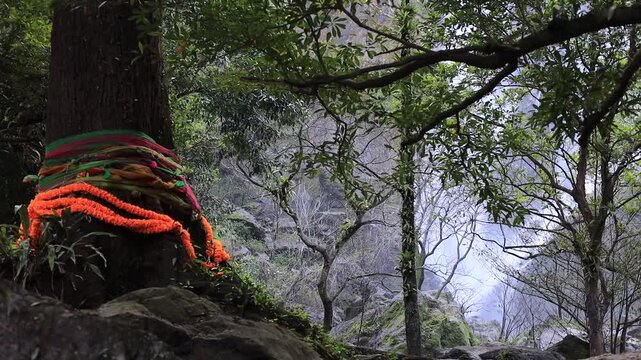The video background features a natural setting with beautiful tourist attractions in Thailand, such as Khlong Lan Waterfall in Nakhon Nayok, which is always visited by travelers, both Thai and foreig