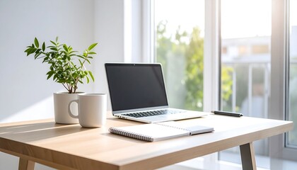 Fototapeta premium Minimal workspace with laptop notebook and plant on wooden desk in natural window light with copy space