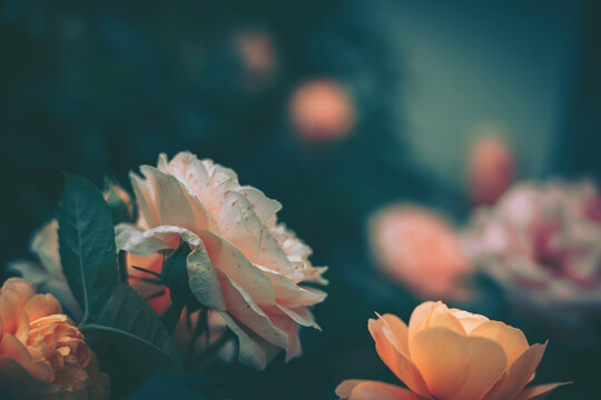 Floral Composition with Vintage Setting