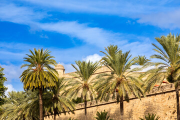 An der mittelalterlichen Stadtmauer von Palma de Mallorca © nemo1963