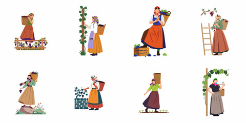 Set of flat vector illustrations showing women in traditional costumes harvesting grapes in a vineyard, carrying baskets and working outdoors. © Nadya