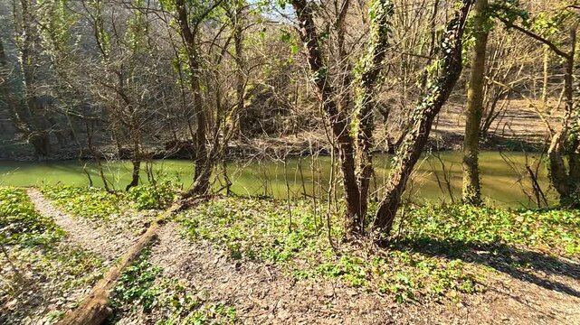 Walking Down Trail to River Then Static Tilt Up &ndash; Sunny Autumn. Ozren Mountain, Sokobanja region. Balkans, Serbia.