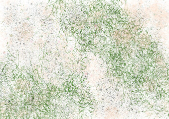 Fototapeta premium green grass background