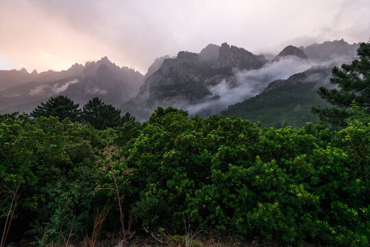 CORSE - Massif de Bavella