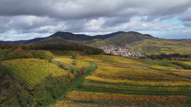 Wechselhaftes Wetter &uuml;ber herbstlichen Hanglagen - Birkweiler, Rheinland Pfalz