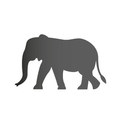 Fototapeta premium Gray Gradient Silhouette of an Elephant.