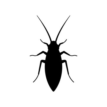 Black Silhouette of a Cockroach Insect.