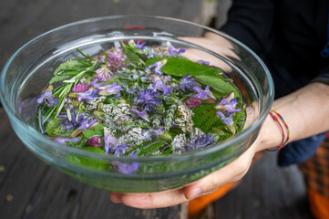 Hands hold a clear glass bowl filled with water, fresh purple wildflowers, green herbs and foliage, creating a natural flower bath for wellness, relaxation, and herbal medicine © Massimo Parisi