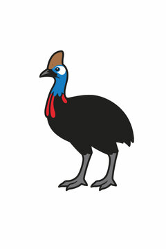 A cartoon illustration of a colorful Cassowary with a blue neck and red wattle standing on grey legs on a white background