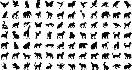 Obraz premium Large collection of wild and domestic animal silhouettes featuring mammals birds insects and reptiles for nature wildlife conservation education and graphic design elements isolated on white