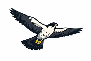 Fototapeta premium A large black and white bird with yellow feet flying through the air with its wings spread wide in a dynamic motion.