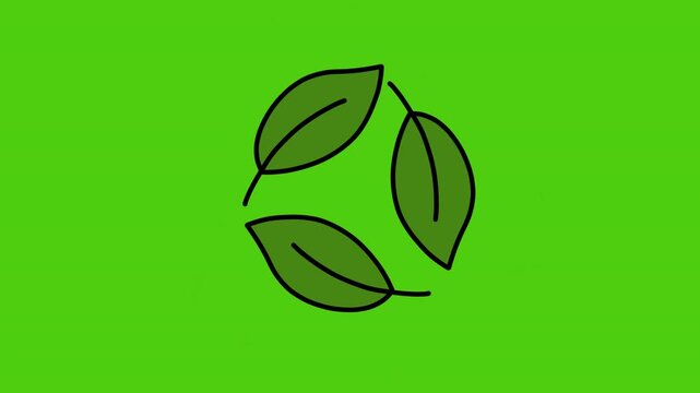 Minimal eco animation with a circular arrangement of leaves forming a cycle symbol on a green screen background. Clean line design representing sustainability, organic growth, and environmental care