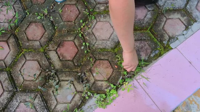 First-Person POV Video of a Hand pulling weeds from a paving block floor. POV footage of weeds being removed from the yard. Steady motion in 4K high resolution.