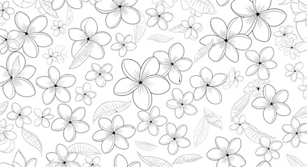 Fototapeta premium Delicate black and white line art pattern featuring numerous plumeria flowers and leaves overlapping on a white background.