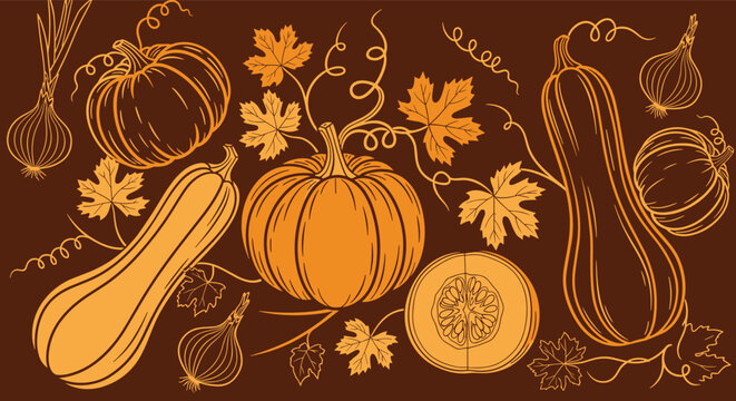 Vintage line art drawing of various pumpkins, squashes, onions, and autumn leaves on a dark brown background.