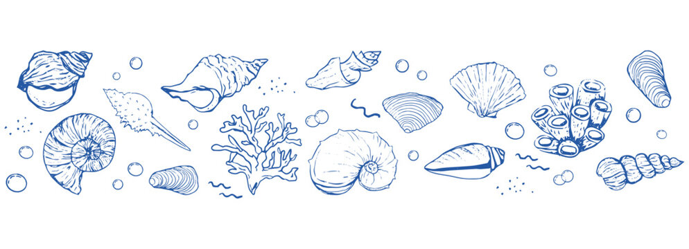 Blue seashells and starfish set sketch hand drawn seamless border coastal horizontal pattern. Summer vacation design elements for trendy prints, 