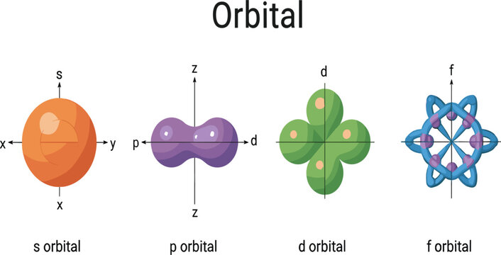 Atomic Orbital Shapes Diagram Showing s, p, d and f Orbitals with 3D Electron Cloud Models for Chemistry and Physics Education