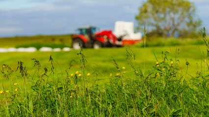 Naklejka premium Bale of hay wrapped in plastic foil, Norway