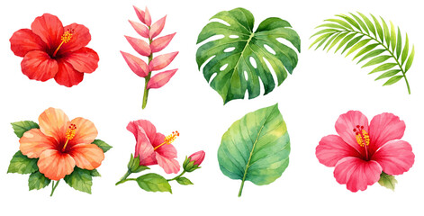 A beautiful collection of watercolor tropical floral illustrations featuring hibiscus flowers and exotic leaves in vibrant botanical style. © liana