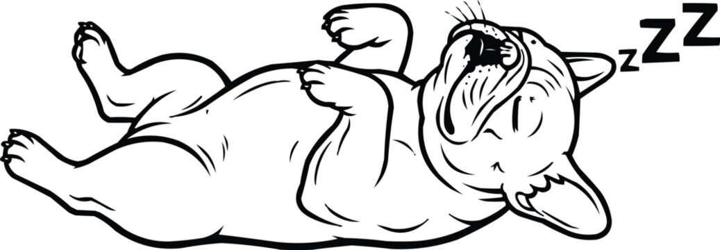 A French Bulldog is deep in sleep.