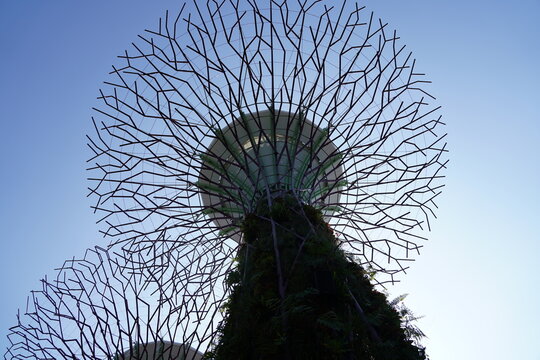 Gardens by the Bay Singapore Supertree Under Blue Sky