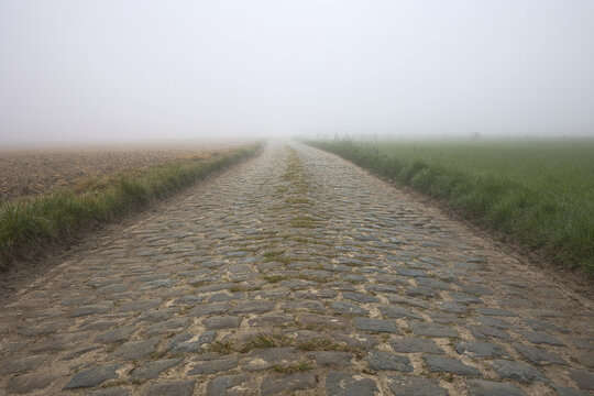 route en pav&eacute; emprunt&eacute; par la course cycliste du paris Roubaix avec du brouillard secteur de l arbre