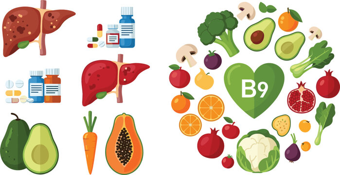 Vitamin B9 Folate Rich Foods Set with Liver Vegetables Fruits and Supplements Flat Vector Illustration Collection for Healthy Nutrition Concept
