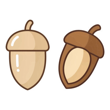 Double Acorn Icons For App UI