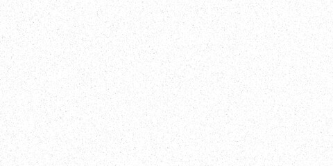 Fototapeta premium Subtle White Noise Texture Background with Tiny Black Speckles for Digital Design and Abstract Art Applications