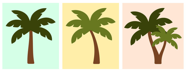 Zestaw drzew palmowych © PaulinaGrush