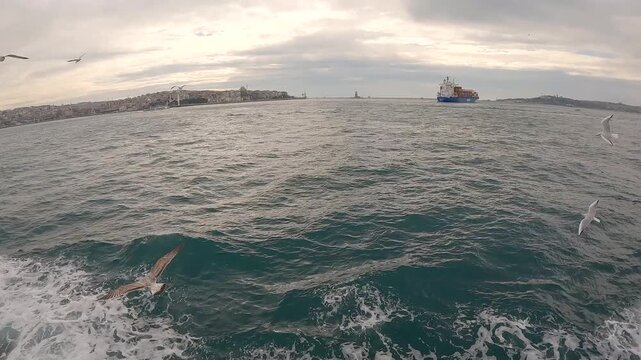 Cargo Ship Passing Through Strait of Hormuz. Bulk Carrier Ship, Seagulls fly over the sea against the backdrop of a cargo ship or container ship. Cargo shipping. Logistic. Strait of Hormuz.