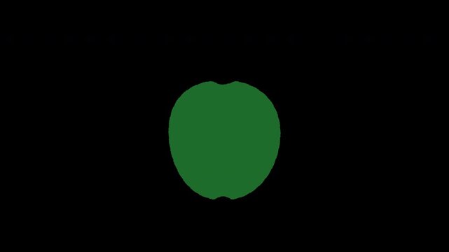 4K green apple icon animation on transparent background. Loopable minimalist vector illustration with alpha channel. Suitable for web design, apps, and educational videos.